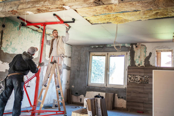 Best Residential Insulation Services  in USA